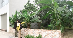 Phân khúc đất nền vẫn "án binh bất động"