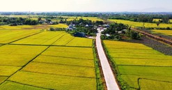 Quảng Nam: Lý giải về nguyên nhân 89 xã "rớt" chuẩn nông thôn mới sau phản ánh của Reatimes