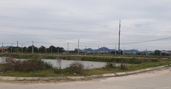 Ninh Bình đấu giá gần 400 lô đất vào tháng 4, khởi điểm 7,5 triệu đồng/m2