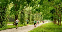 Dàn elite và gần 4000 vận động viên đổ bộ Ecopark Marathon 2024