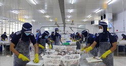 Doanh nghiệp có niềm tin phục hồi, bắt kịp đà tăng trưởng