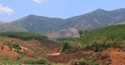 Phú Thọ: Công ty cổ phần Thượng Long bị xử phạt hành chính về vi phạm lĩnh vực đất đai