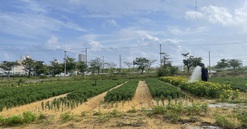 Quảng Nam: 2 dự án đầu tư đô thị tại TX. Điện Bàn được điều chỉnh tiến độ