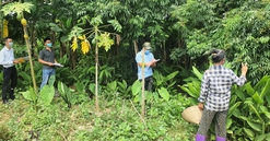 Thành phố Cao Bằng triển khai giải phóng mặt bằng 20 dự án