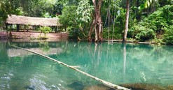 Phú Thọ: Vườn Quốc gia Xuân Sơn nằm trong 61 địa điểm tiềm năng phát triển khu du lịch quốc gia