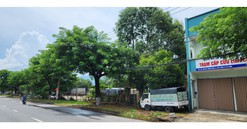 Đà Nẵng: Tổ chức đấu giá 12 khu đất lớn