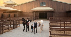 Du khách hào hứng khám phá bộ môn mã thuật tại Vinpearl Horse Academy Vũ Yên