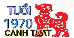 Hướng cửa chính nhà chung cư hợp với tuổi Canh Tuất 1970: Bí quyết sinh tài, vượng khí