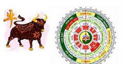 Giải đáp thắc mắc trong lựa chọn hướng cửa chính nhà chung cư hợp tuổi Quý Sửu 1973: Bí quyết của sự may mắn, thịnh vượng