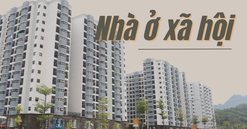 Hoà Bình: Chấp thuận chủ trương đầu tư đồng thời chấp thuận nhà đầu tư dự án nhà ở xã hội hơn 555 tỷ đồng