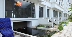 Cá bơi theo đàn dưới hầm biệt thự triệu đô ở Hà Nội