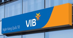 VIB: Lợi nhuận đạt 4.600 tỷ đồng, tín dụng và huy động vốn tăng trưởng 5% trong 6 tháng đầu năm 2024