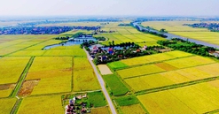 Những trường hợp được miễn, giảm tiền sử dụng đất từ ngày 1/8/2024