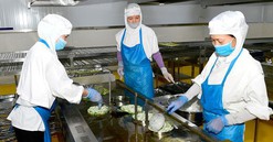 Tuyên Quang: Nâng cao tỷ lệ lấp đầy các khu, cụm công nghiệp