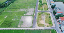 Khó xác định và xử lý hành vi đầu cơ, thổi giá trong các phiên đấu giá đất