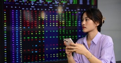 Hơn 1,41 triệu tài khoản chứng khoán mở mới trong 8 tháng từ đầu năm 2024