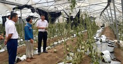 Agribank giảm tới 2%/năm lãi suất cho vay hỗ trợ khách hàng bị thiệt hại do bão số 3