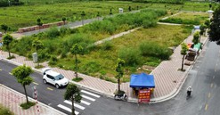 Hà Nội: Huyện Đan Phượng tiếp tục dừng phiên đấu giá 26 lô đất tại thị trấn Phùng
