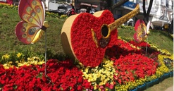 Lâm Đồng: Tổ chức Festival hoa Đà Lạt lần thứ X - năm 2024