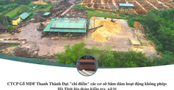 CTCP Gỗ MDF Thanh Thành Đạt "chỉ điểm" các cơ sở băm dăm hoạt động không phép: Hà Tĩnh lập đoàn kiểm tra, xử lý