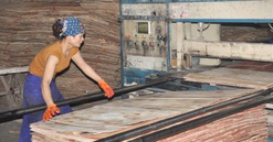 Tỷ lệ lấp đầy các khu công nghiệp Yên Bái đạt gần 86%