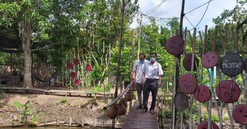 Hậu Giang định hướng xây dựng cơ cấu sản xuất nông nghiệp của từng địa phương phù hợp với tiểu vùng sinh thái