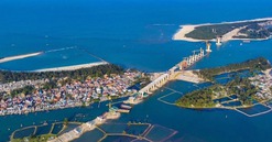Không viện lý do nghỉ Tết, gấp rút thi công hợp long cầu vượt biển dài nhất miền Trung Việt Nam