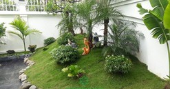 Hướng dẫn cách cải tạo sân vườn nhà cũ đón Tết thêm phần xanh mát