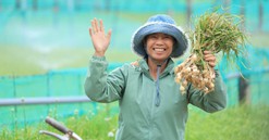Nam Ngư cùng nông dân đảo Lý Sơn phát triển kinh tế địa phương