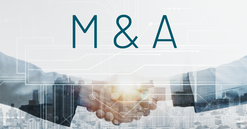 M&A bất động sản 2025: "Bóng" vẫn trong sân khối ngoại?