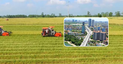 Từ bây giờ, chuyển đất trồng lúa sang đất ở trái phép bị phạt bao nhiêu tiền?