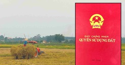 Kể từ nay, những trường hợp này sẽ được cấp đổi sổ đỏ theo quy định