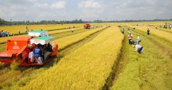 Từ bây giờ, giá đền bù đất trồng lúa khi bị thu hồi đất là bao nhiêu?