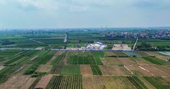 Chủ tịch tỉnh Hưng Yên chỉ đạo thúc đẩy tiến độ dự án của Kinh Bắc và Tập đoàn Trump