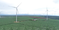 Tỉnh lớn thứ 2 Việt Nam sẽ có thêm dự án nông nghiệp công nghệ cao hơn 1.600 tỷ