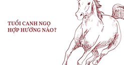 Tuổi Canh Ngọ hợp hướng nào? Hướng nhà nào may mắn, tài lộc?