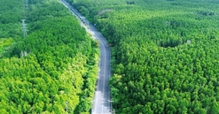 Hé lộ vị trí xây dựng tuyến metro nhanh nhất Việt Nam, rút ngắn thời gian di chuyển còn 12 phút