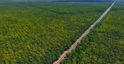 Sau 16 năm khởi công, con đường xuyên rừng cao su tại thành phố giàu nhất Việt Nam sắp hoàn thành