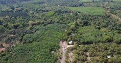 Diễn biến mới nhất dự án cầu vượt sông thay thế cây cầu đổ từ 50 năm trước tại thủ phủ công nghiệp Việt Nam