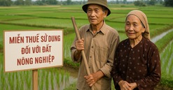 2 tháng tới, các đối tượng này sẽ được miễn thuế sử dụng đất nông nghiệp