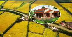 Kể từ nay, phải đáp ứng điều kiện này mới được chuyển đất trồng lúa sang đất ở nông thôn