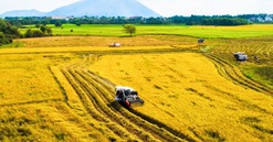 NÓNG: Đề xuất thêm 3 trường hợp Nhà nước thu hồi đất