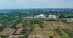 Hưng Yên tập trung chỉ đạo đẩy nhanh tiến độ 3 dự án trọng điểm về nhà ở