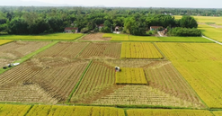 Kể từ nay, các trường hợp này sẽ được kéo dài thời hạn miễn thuế sử dụng đất nông nghiệp