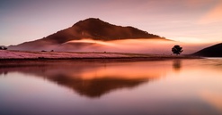 Tập đoàn TH tìm hiểu cơ hội đầu tư dự án du lịch gần 4.000ha tại Lâm Đồng