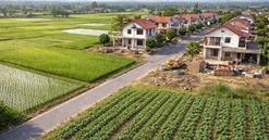 Từ ngày 1/1/2026, chi phí chuyển đổi đất nông nghiệp sang đất thổ cư sẽ tăng