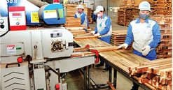 Tuyên Quang: Thành lập mới Cụm công nghiệp Xuân Vân