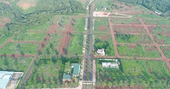 Đồng Nai chuẩn bị đấu giá 185 ha đất, giá trị gần 2.400 tỷ đồng