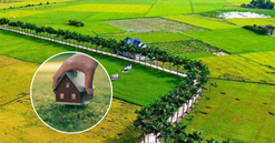 Đô thị đặc biệt của Việt Nam cho phép chuyển mục đích sử dụng đất từ các loại đất khác sang đất ở