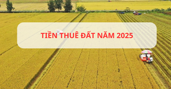 Bộ Tài chính đề xuất ưu đãi đặc biệt có lợi cho nhóm đối tượng thuê đất làm dự án nông nghiệp